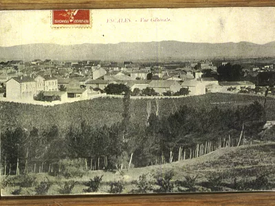 Vue générale depuis les oliviers